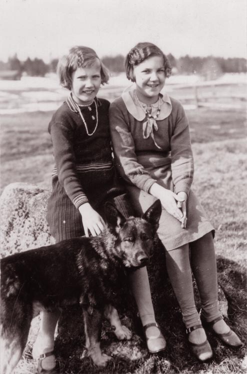 Hund Hörneå
